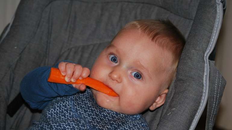 makanan bayi