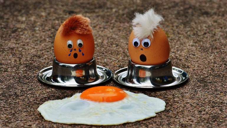 telur ceplok